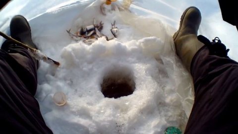 Не ПЕРВЫЙ ЛЁД 2025 Раздача Рыбы Плотвы,Ельца,Окуня