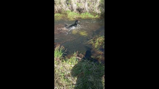 Отдых у реки