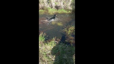 Отдых у реки