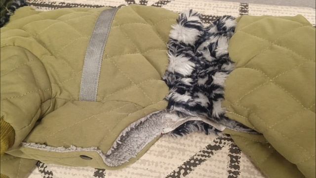 Переделка комбинезона для соседской собачки.