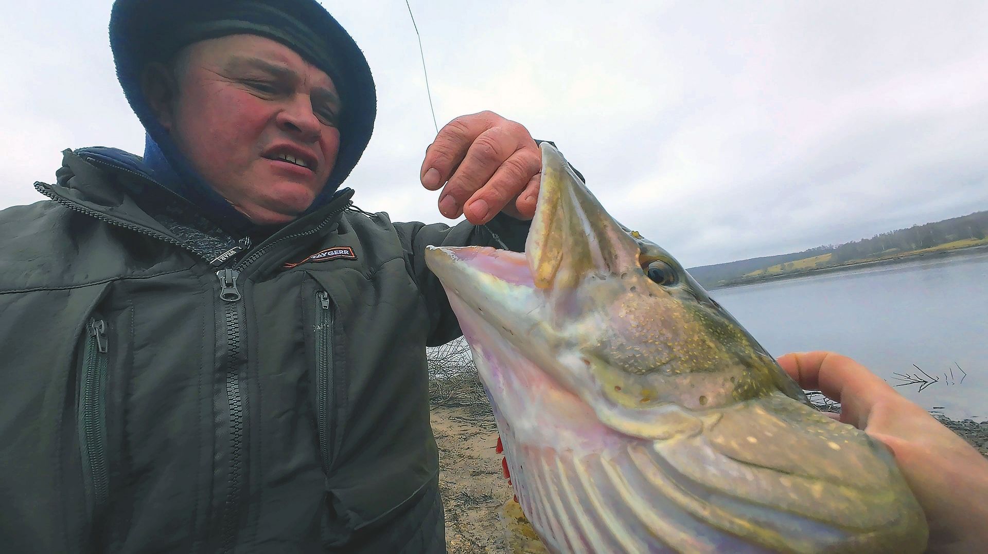 Щучий последний день ,Знатный трофей, но не мой. Последняя рыбалка сезона.