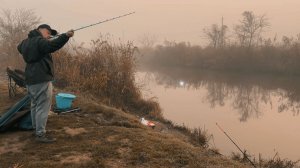 ЗАБРОС ПОД КАМЫШИ! ОСЕННЯЯ РЫБАЛКА В ГЛУХОМ КАНАЛЕ