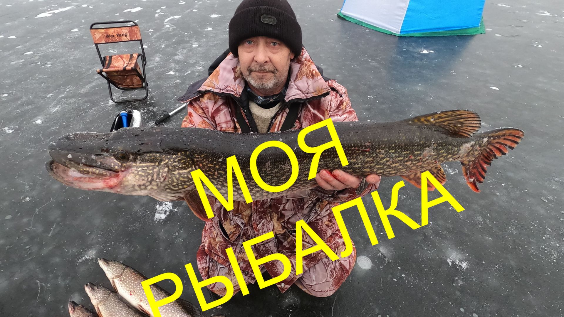 НА ТАКИХ РЫБИН ПОПАДЁШЬ РАЗ ЗА ЗИМУ . Коряжник НОВОЕ МЕСТО .