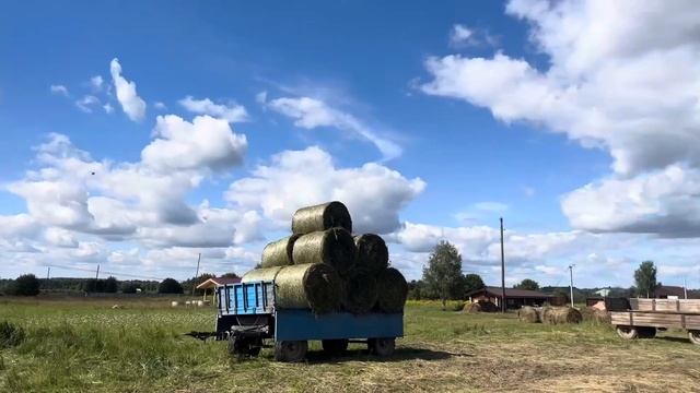 Заготовка кормов для крс. Научилась работать на всей технике.