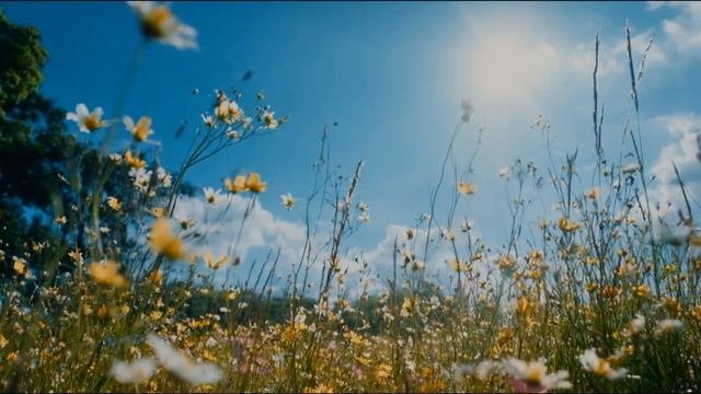 ВРЕМЯ ГОДА стихи С.Сорокина