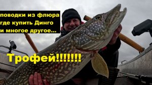Трофей!!! Почему много крупной щуки. Где купить Динго. Поводки из флюра.