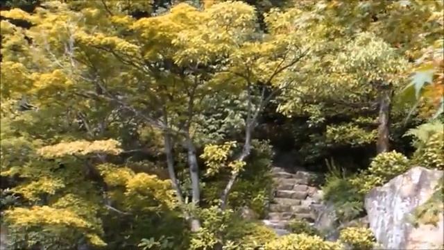 Гитарная музыка28 @TheLonelyBand