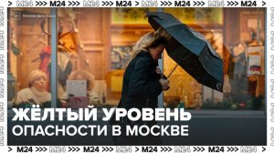 Желтый уровень опасности объявлен в Москве - Москва 24