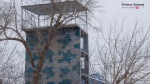 А снег идёт! С первым снегом #снег