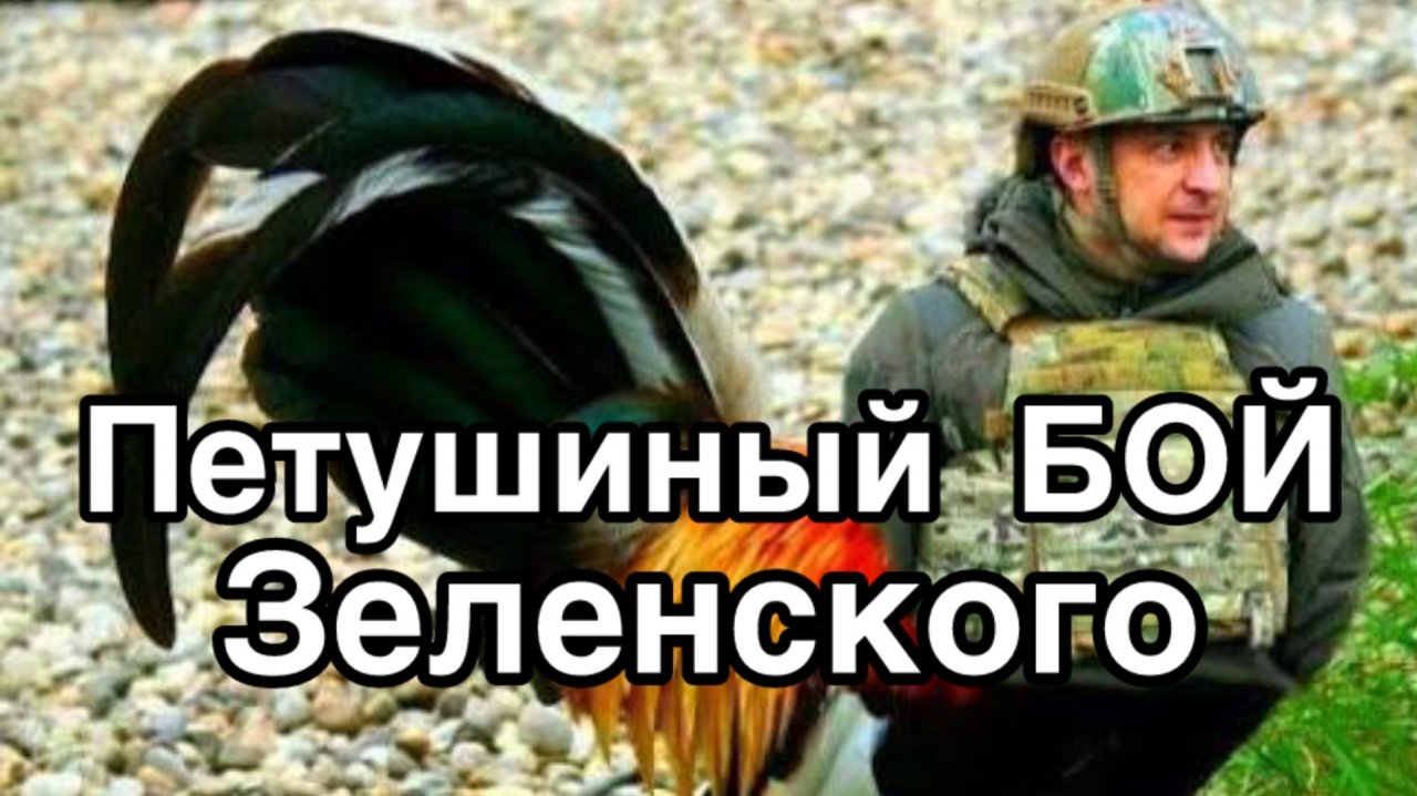 Львов. Вооруженное сопротивление режиму Зеленского. Петушиный бой бандеровских внуков