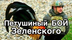 Львов. Вооруженное сопротивление режиму Зеленского. Петушиный бой бандеровских внуков