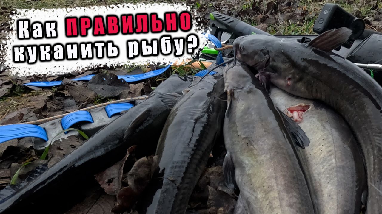 ТРИ ФАКТОРА УСПЕШНОЙ ОХОТЫ!!! СТРЕЛЯЮ В ПРОВЕРЕННЫХ МЕСТАХ!!!