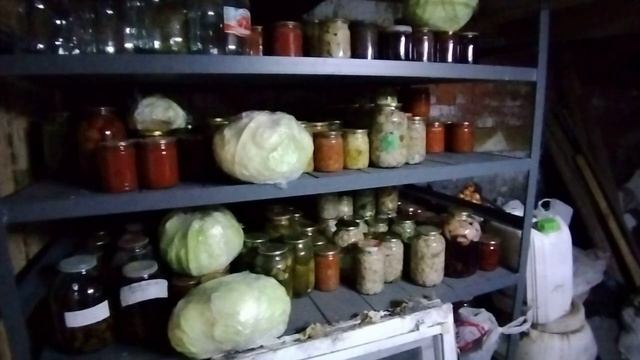 Декабрьские цыплята / Муж с сыном заготавливают грибы /