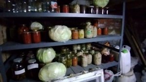 Декабрьские цыплята / Муж с сыном заготавливают грибы /