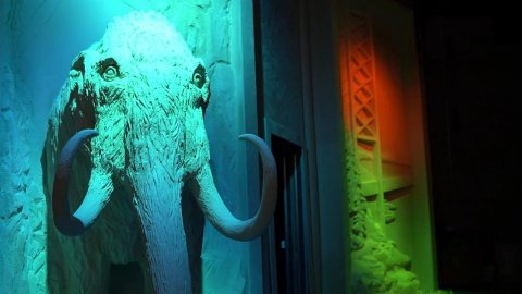 В Национальном центре "Россия" открылась выставка-приключение "Книга сказок".