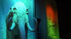 В Национальном центре "Россия" открылась выставка-приключение "Книга сказок".