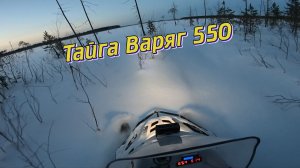 Впервые прокатился на Тайге ВАРЯГ 550