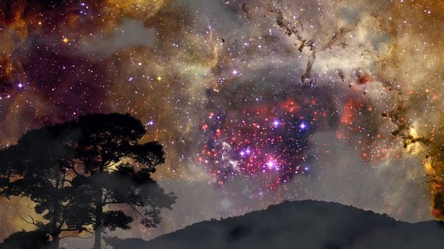 Мир вокруг нас