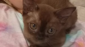 нужно поговорить