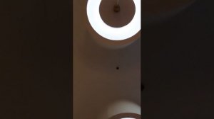 шведский стол