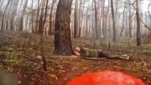 С добрым утром, бандеровский пес!