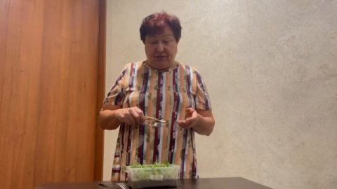 УКОРЕНЕНИЕ ОТВОДОК