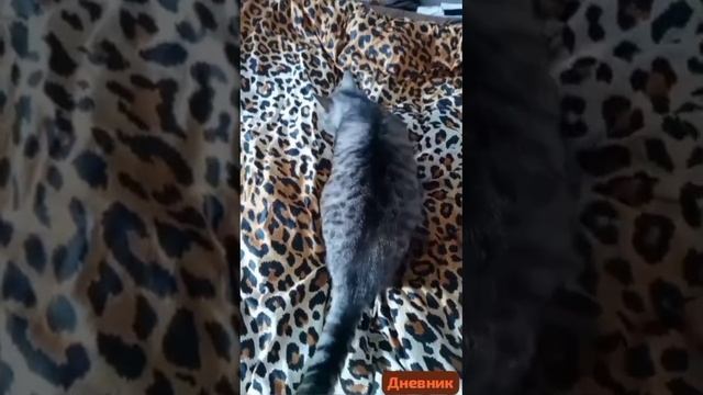 Дневник больных и выздоравливающих.