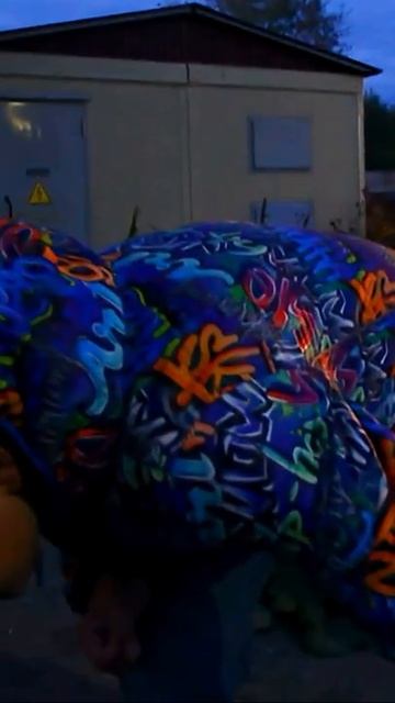 ДА ГДЕ ЖЕ КОТ_  #oiia #oiiaoiiacat #oiiaoiia смотреть онлайн