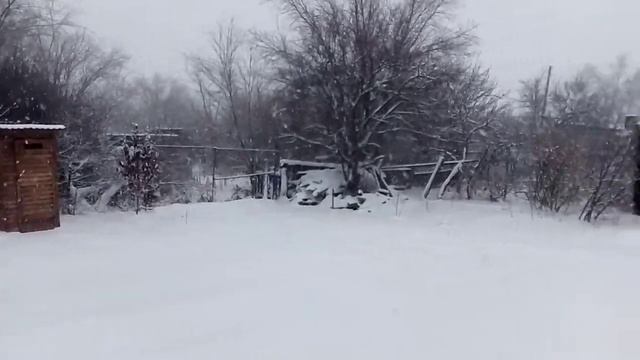 Падал Прошлогодний Снег.