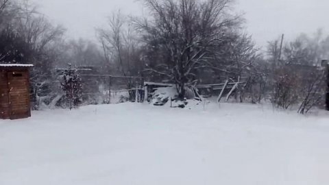 Падал Прошлогодний Снег.