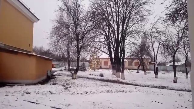Новогодняя елка у СШ7 в городе Ефремов смотреть онлайн