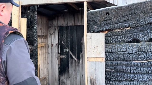 Привезли 20 Герефордов! Отбор животных, экстремальная разгрузка и новоселье!