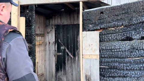 Привезли 20 Герефордов! Отбор животных, экстремальная разгрузка и новоселье!