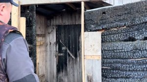 Привезли 20 Герефордов! Отбор животных, экстремальная разгрузка и новоселье!