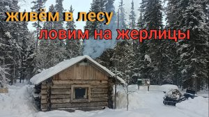 Живём в лесу, ловим рыбу!