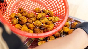 ГИГАНТСКИЕ КОКОСОВЫЕ ЧЕРВИ Вьетнамская уличная еда