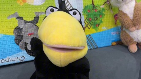 Море волнуется РАЗ! С вороной Асей❤️