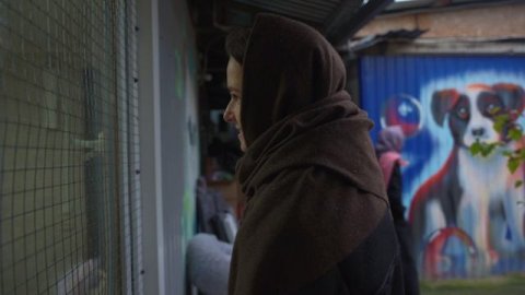 Команда СРЕДА посетила приют Краснодог