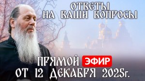 Ответы на Ваши вопросы в прямом эфире с о. Владимиром. От 12 декабря 2025 г