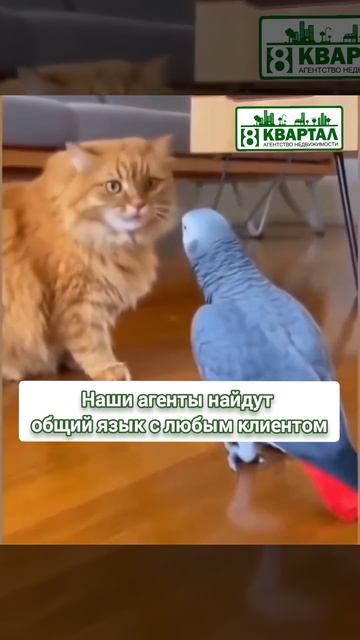 Полное взаимопонимание с клиентами