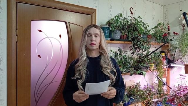 ПОГОДА В МОСКВЕ 14 ДЕКАБРЯ 2025