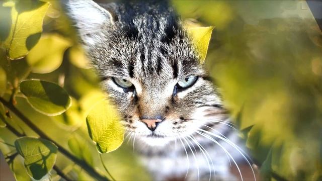 Cities In The Clouds 10