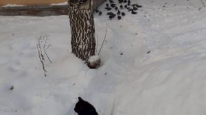 Возле дома.