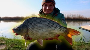 Вот это улов карпа в зимнее время года