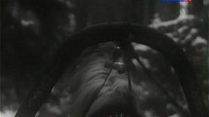 Эх, вы кони мои кони! Эх, ты зимушка-зима!