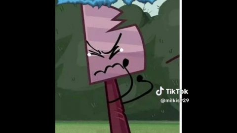 когда пикчера исключили...