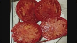 Каталог томатов на 2026 год. Часть 11. СКИДКИ на СЕМЕНА!   г. Киров. т. 89229284031