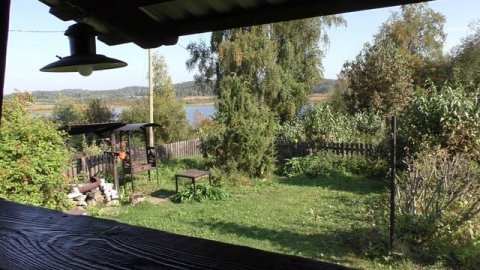 Лето Карелия пение птиц натуральные звуки природы