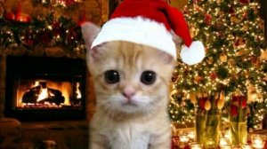 Буду бустить новичков часть:4 тг:@br_br_br_patapin4ik, айди 264077728 тгк:https://t.me/lenc4ikRUTUBE