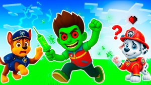 ЩЕНЯЧИЙ ПАТРУЛЬ ПОВЕРИЛ РАЙДЕРУ 😱 ОШИБКА в МАЙНКРАФТ PAW PATROL МУЛЬТИК